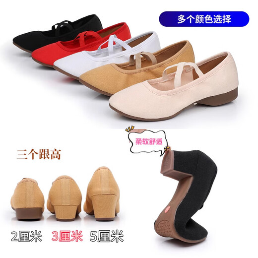 Square dance teacher shoes outdoor adult soft sole women's belly classical ethnic modern dance practice ballet dance shoes black 2cm flat heel 37