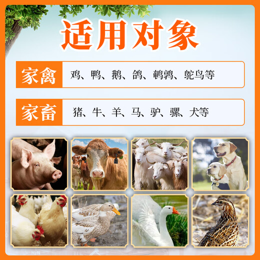 Tianwu veterinary enzyme-added probiotics for pigs, cattle, sheep, chickens, ducks, geese, pregnant animals, gastrointestinal conditioning probiotics, cat, dog and rabbit feed additives, enzyme-added probiotics 500g 1 bag