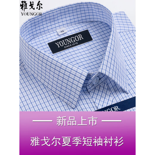 CEO雅戈尔男士短袖衬衫夏季棉免烫中年休闲商务职业正装格子衬衣服 短袖DX6629 43
