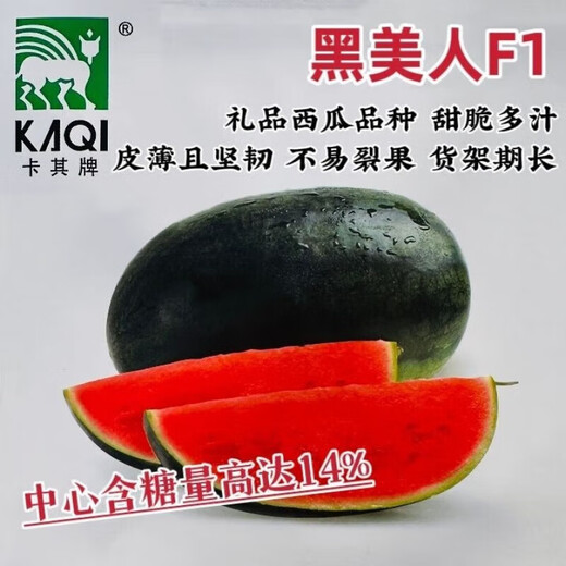 Khaki Brand Gift Black Beauty Watermelon Seeds Super Sweet Big Fruit Gift Watermelon Seeds with Thin Skin and Crack-Resistant Red Flesh Watermelon Khaki Black Beauty Original 20 Capsules