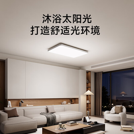Mijia (MIJIA) Xiaomi Mijia Eye Protection Smart Full Spectrum Ceiling Lamp D40 Package Installation Lamp