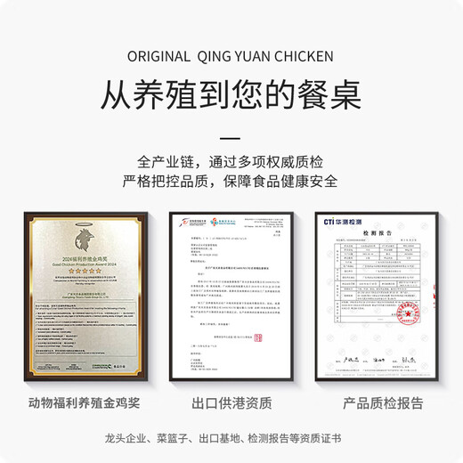 Tiannong Hong Kong Chicken Wings 1Jin Jin is equal to 0.5kg Export Quality Qingyuan Local Chicken Wings Frozen BBQ Braised Fried Chicken Ingredients