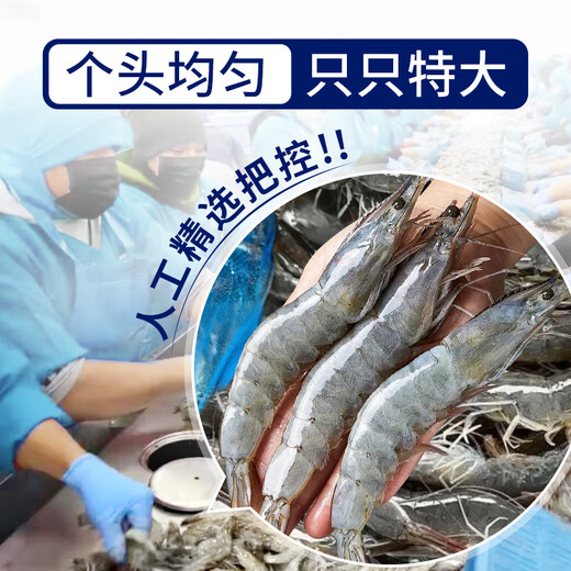 Yunchu Life Ace Prawns Fresh Extra Large Fresh Frozen Ecuadorian White Shrimp Original Imported Shrimp 3040 Net Weight 3Jin Jin is equal to 0.5kg