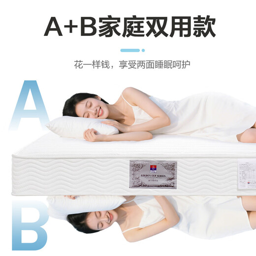 Fuana mattress latex spring mattress government subsidy soft and hard dual-use spine protection coconut palm hard mattress Simmons mattress A-hard model 22cm-whole network spring (recommended) 1.8*2 meters