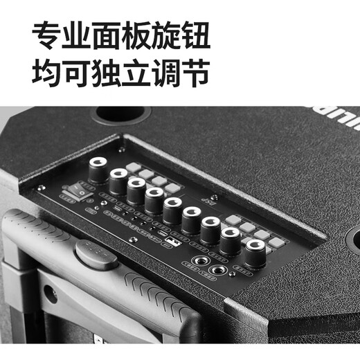 Philips (PHILIPS) 15-inch square dance audio outdoor stage high-power mobile portable trolley speaker wireless Bluetooth high-volume karaoke amplification with dual microphones SD170PLUS