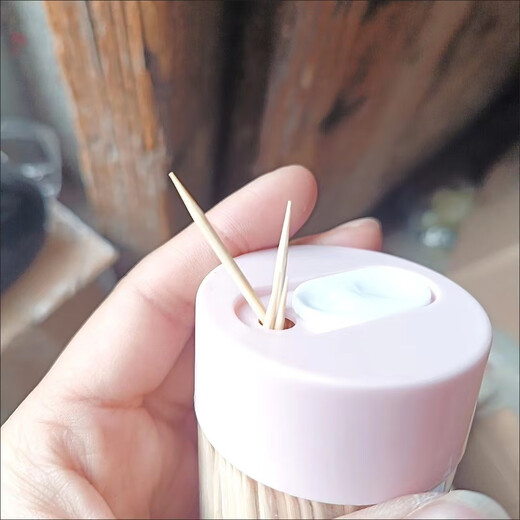 Meijia Life disposable double-headed toothpicks, buy 1, get 1 free, get 2 cans and get 5 packs of refills, fruit picks and snack picks