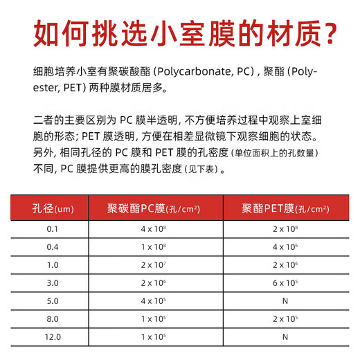 靠森 KAOOSEEN6孔12孔24孔 PC/PET膜细胞小室培养板 transwell 12孔3.0um聚脂PET膜14222一块