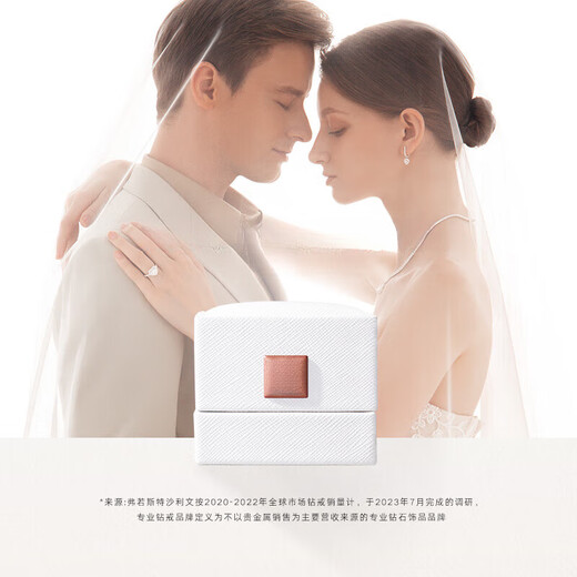 DR Proposal Diamond Ring Platinum BELIEVE Classic Perseverance Brilliant Diamond Ring Holiday Gift 30 Points E Color VS1 GIA Certificate + Gift Box