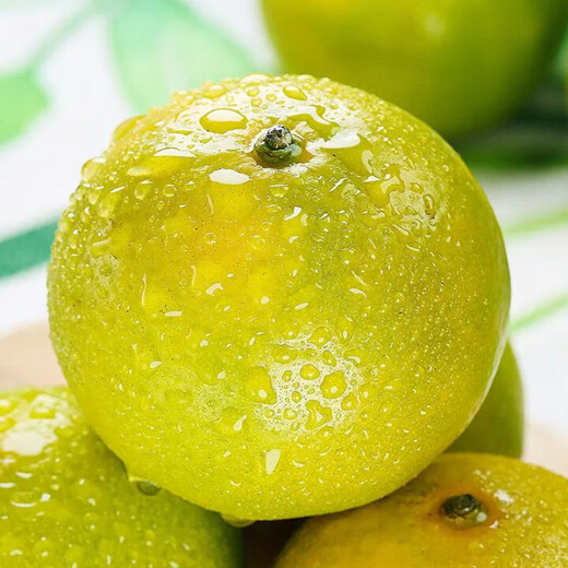 Yimeng Fruits and Vegetables Authentic Guangxi Emperor Citrus Tribute Orange Tribute Fresh Fruit Seasonal Picked Fruit Mid-Autumn Festival Gift Box Gift 5Jin Jin is equal to 0.5kg Jutian Tribute Fruit丨60MM+ Net 4.5Jin Jin is equal to 0.5kg