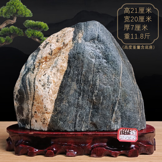
Three-aqua Tiger fidelity Taishan stone natural raw stone Taishan stone dare to be the indoor living room corner office Yang stone backing 15921 backing