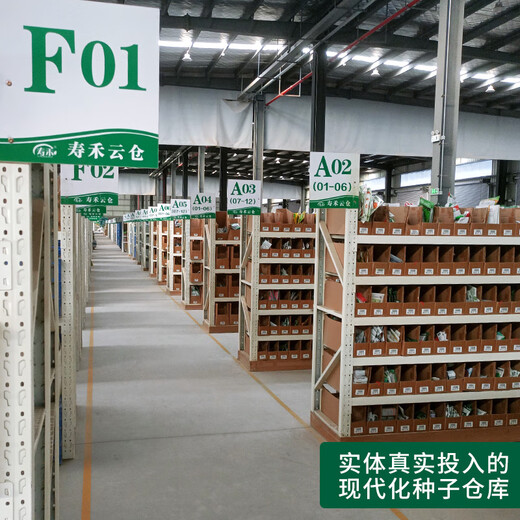 Shouhe croissant seed seedlings thin-skinned and crispy four-season fruit melon seeds Weifeng croissant seeds 30 pieces