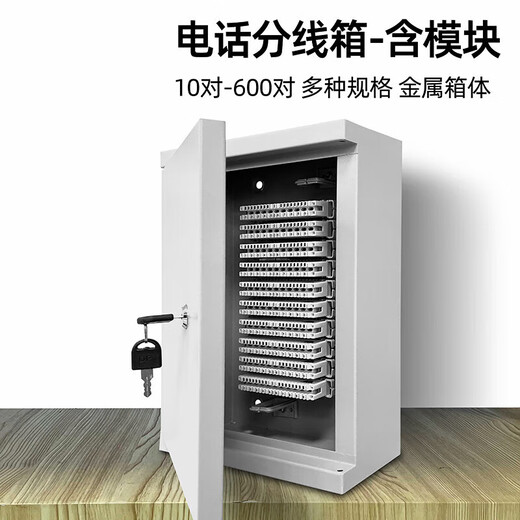 50/100对电话分线箱明装300配线箱卡接模块200回大对数电缆交接箱 30对配线箱-金属箱(含模块))