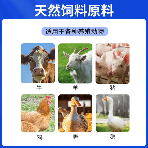 High calcium cod liver oil for veterinary use, premixed feed additive for pigs, cattle and sheep, vitamin supplement for laying hens, ducks and poultry, high calcium cod liver oil, 1 bag 1000g