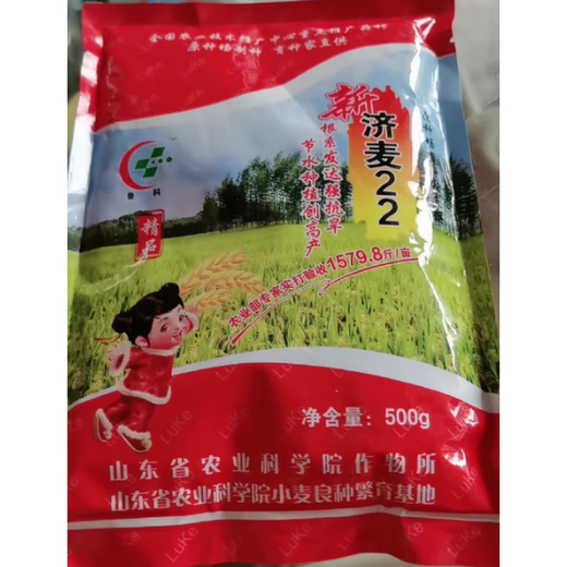 Nationally approved Jimai 22 wheat seeds, strong gluten field winter wheat seeds, high yield, dwarf stalks, lodging resistance and large panicle original species. Jimai 22 wheat original species 2Jin Jin is equal to 0.5 kg. Breed by the Academy of Agricultural Sciences