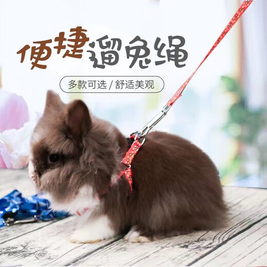 Dog Leash Harness Dog Leash Small Dog Cat Teddy Bichon Rope Rabbit Rope Large Durable Professional Pet Leash - Mixed Color Small - 1 Pack -