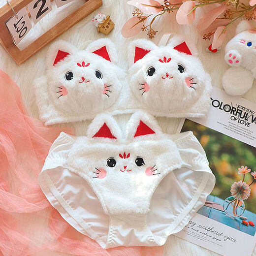 Renduo Small Breast Underwear Lucky Cat Underwear Furry Rabbit Plush Bra Super Cute Underwear Complete Set Carrot Rabbit-White 70A 32 S/70AB Cup