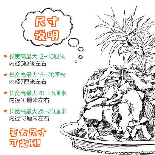 Absorbent stone flower pot, natural strange stone, absorbent stone, upper water stone, original stone, stone pot, calamus, succulent potted plant, bonsai micro landscape, absorbent stone, flower pot 13-17cm (no gifts)