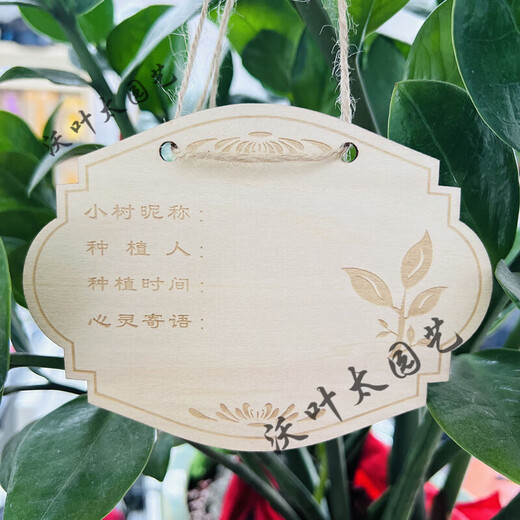 Yong Huan 10 pieces of custom-made wooden hanging tags for school Arbor Day tags, tree adoption tags, plant tags, name cards, 10 pieces of tree planting tags