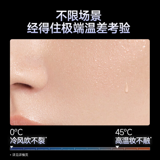 Carslan Black Magnetic Liquid Foundation Concealer, Oil Control, Long-lasting, Anti-sweat, No-Removal, Mixed Skin, Long-lasting Makeup P02 30g New Year's Gift for Women