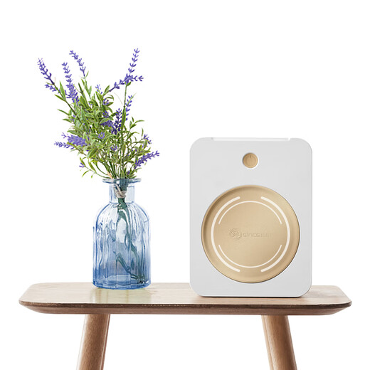 Shunhong 3100VA high power transformer 220V to 110V/100V dual output Canadian and American 120V Japanese electrical appliances domestic voltage converter JDZY-N31001