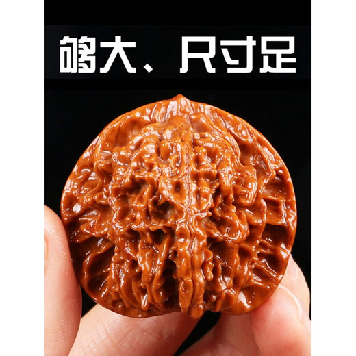 Colorful lotus walnut toy triangular lion head toy hand toy hand piece antique extra large hand plate walnut