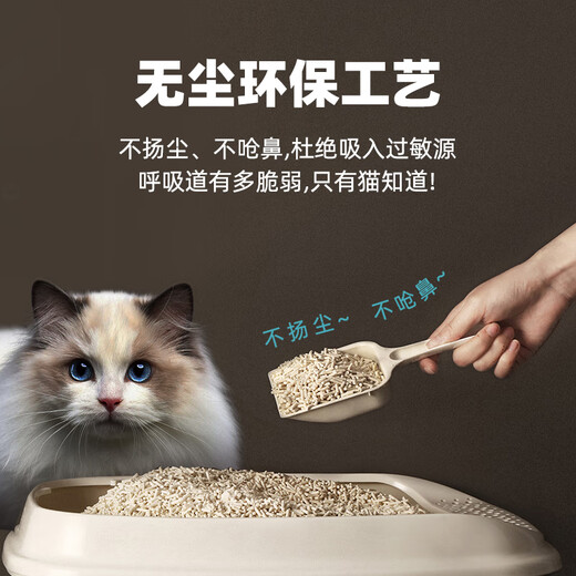 HONEYCARE Good Fate Family Tofu Cat Litter Deodorant Dustless Cat Salt Flushing Toilet Cat Supplies 2.6kg Good Fate Born Tofu Cat Litter + Cat Litter Companion Flavored Tofu Cat Litter