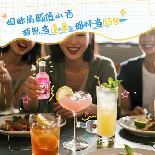 路易布兰登洋酒威士忌金酒伏特加朗姆酒50ml*12瓶调酒便利店小酒版组合套装