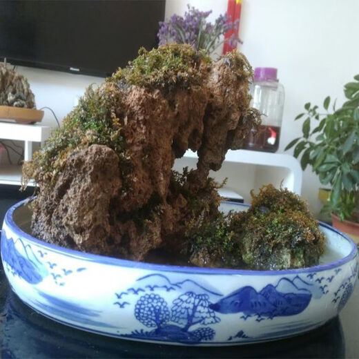 Absorbent stone raw stone, water stone, natural rockery, bonsai, rockery stone, landscaping stone, micro landscape ornaments, stone absorbent stone, raw stone 30-40CM 50Jin Jin equals 0.5kg