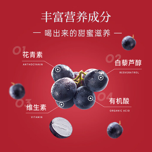 劲牌 毛铺清香年代 42度露酒 500ml+通化 山葡萄气泡酒 7度 500ml