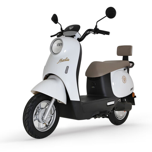 Luyuan Store Pickup New Electric Motorcycle MODA05 Home Use Long Range Electric Vehicle 60V20Ah Lead Acid Durable Electric Motorcycle Go to the store to choose the color