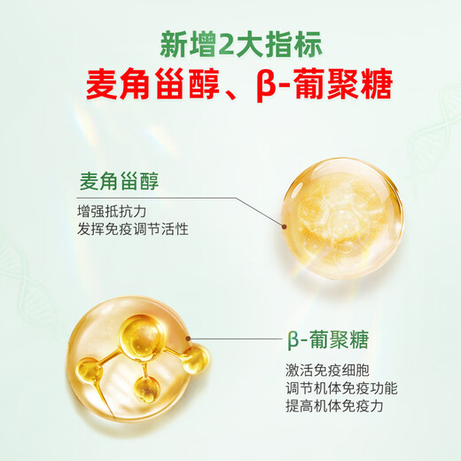 Xianzhilou National Standard formulierte vier Bio-Kapseln mit gebrochenem Ganoderma-Sporenpulver, Mittherbstfest-Geschenk, ernährungsphysiologische Gesundheitsprodukte, 1 Flasche 20 g Triterpen, 12,5 g Kapselform