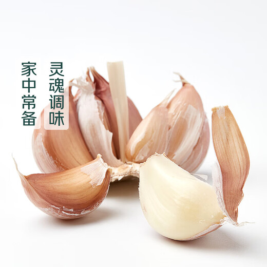 Approximately 200g of garlic harvested directly from the production area