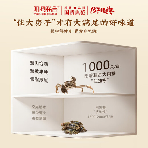 Gift Certificate Yangcheng United Hairy Crab Gift Certificate 8888 type male 5.0 two female 4.0 two 4 pairs 8 crab coupons gift box gift card