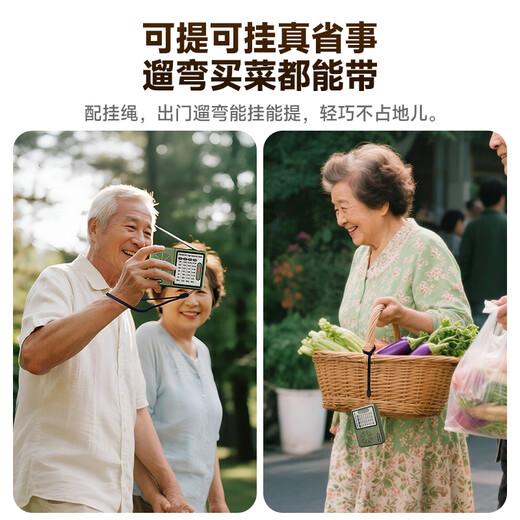 Newman L6 radio for the elderly rechargeable mini audio portable walkman full-band FM player