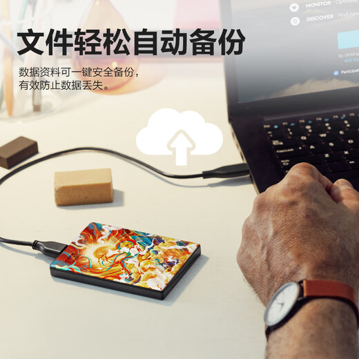 Western Digital (WD) 6 TB mobile Festplatte USB 3.0 2,5-Zoll mechanische Festplatte Laptop externe verschlüsselte Backup-Speicher mit großer Kapazität lackiert individuell angepasst Luta Xiangyun