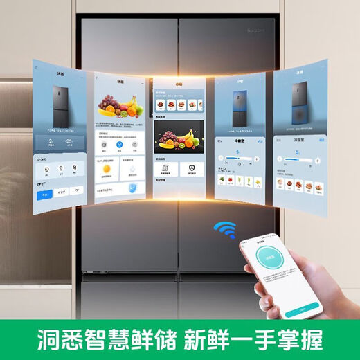 Rongsheng Refrigerator IDP Active Sterilization Cross Door Dual System Dual Cycle First Level Energy Efficiency Dual Frequency Conversion Air Cooling 500+L