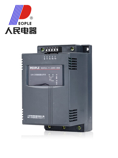 People's Electrical Appliances RDFK3 Intelligent Overlay Switch Capacitor Intelligent Automatic Isolation Air 380V80A100A RDFK3-Y/220V (sub-supply) 80A