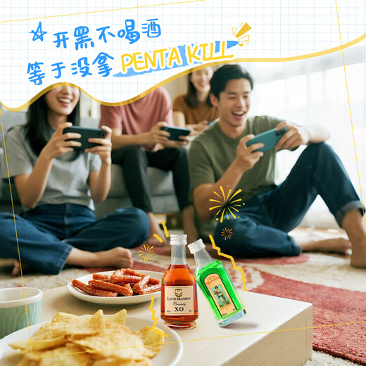 路易布兰登洋酒威士忌金酒伏特加朗姆酒50ml*12瓶调酒便利店小酒版组合套装