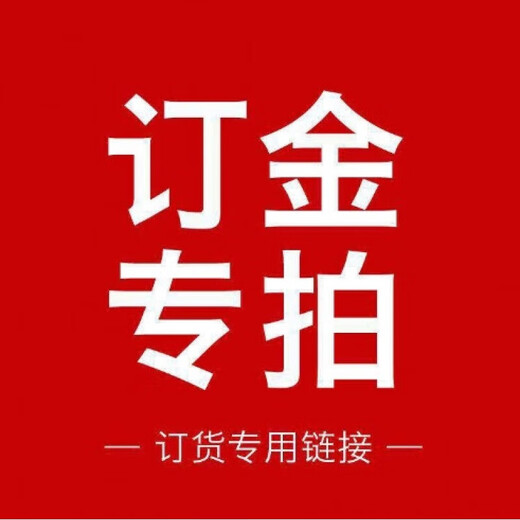 Alloy internet celebrity watch remote control car electric mini car social toys for children boys and girls friends blue Bugatti