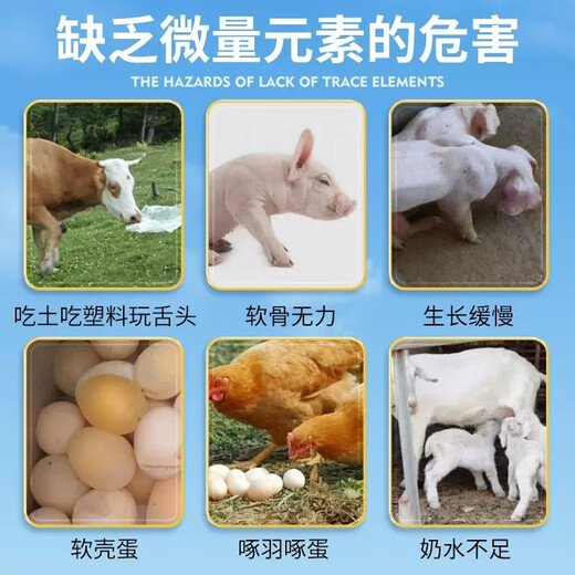 Changmu cod liver oil for veterinary use, multivitamins for pigs, cattle, sheep, chickens, ducks, geese, pigeons and poultry, instant egg production, multi-vitamin supplement, calcium, phosphorus, magnesium, zinc and eighteen supplements 1KG/bag, available for pregnant animals