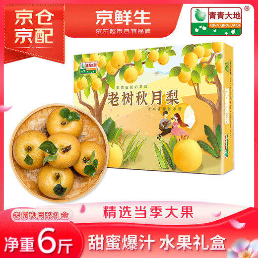 Beijing fresh green earth Laiyang old tree Qiuyue pear 6Jin Jin is equal to 0.5kg 6 pieces high-quality large fruit fruit gift box