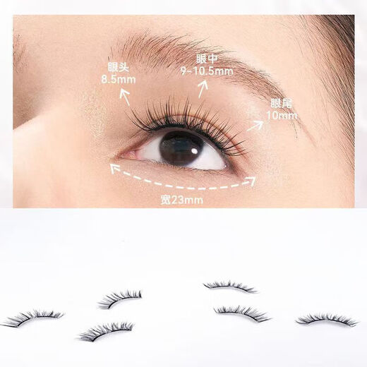 Huajianduo Magnetic False Eyelashes New Natural Female Simulation Fairy Eyelashes Non-glue Grafting Beginner's Good News for Lazy People A Box of Magnetic Natural Simulation False Eyelashes M02 Model