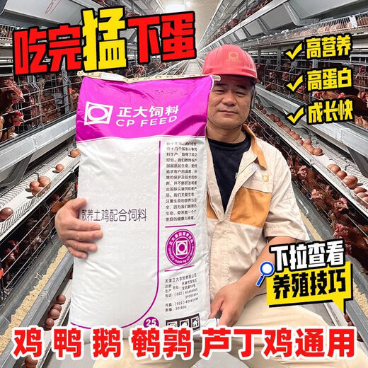 Zhengda 50Jin Jin is equal to 0.5kg Zhengda chicken feed pellets crushed duck, goose, quail, rutin, chicken, universal egg-laying corn shredded full price material, chicken, duck, goose, quail, rutin, chicken, general purpose, Zhengda egg-laying feed original whole package, 50Jin Jin is equal to 0.5kg