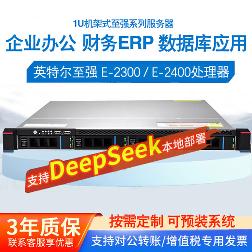 导爱至强服务器主机1U机架式存储服务器ERP文件共享用友金蝶数据库企业云托管主机DeepSeek本地部署 至强三代 4314 16核32线程2.4G 16G ECC+M.2 512g SSD