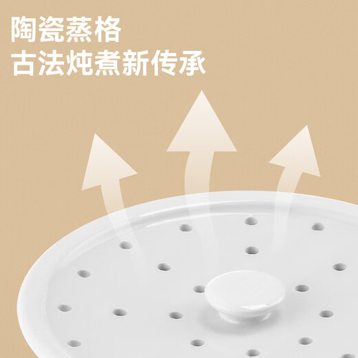 Tianji (TONZE) electric stew pot, water-proof stew pot, electric stew pot, stew soup pot, soup health bird's nest cup, porridge pot, can be scheduled for scheduled water-proof stew 3.5L