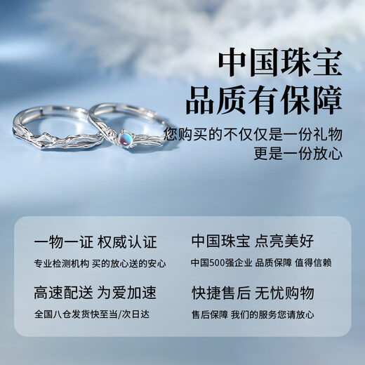 Chinese Jewelry Eucalyptus and Bird Couple Ring Men and Women One Sterling Silver Proposal Ring Confession Birthday Anniversary Gift for Girlfriend