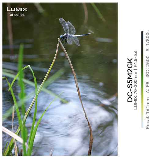 Panasonic 70-300mm F4.5-F5.6 full-frame mirrorless/single electronic/mirrorless digital camera zoom lens L mount S-R70300GK 70-300mm丨F4.5-5.6丨telephoto zoom lens