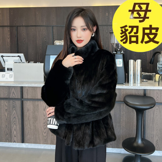 Muqiantang Mink Fur Coat Women's Full Mink Coat Women's Short Velvet Mink Stand Collar Top Fur Women Black Stand Collar One Size Recommended Weight (80-135)