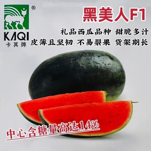 Khaki Brand Gift Black Beauty Watermelon Seeds Super Sweet Big Fruit Gift Watermelon Seeds with Thin Skin and Crack-Resistant Red Flesh Watermelon Khaki Black Beauty Original 20 Capsules