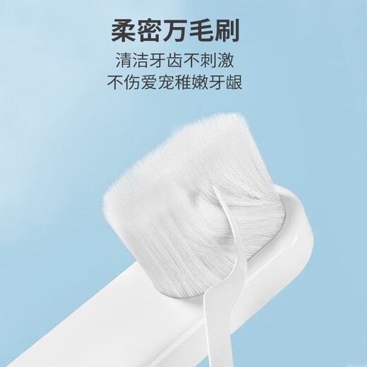 AILUKI Japanese cat and dog pet special toothbrush and toothpaste set dental calculus removal bad breath edible small dog brushing combination set 10,000-hair toothbrush + toothpaste (finger brush * 2)